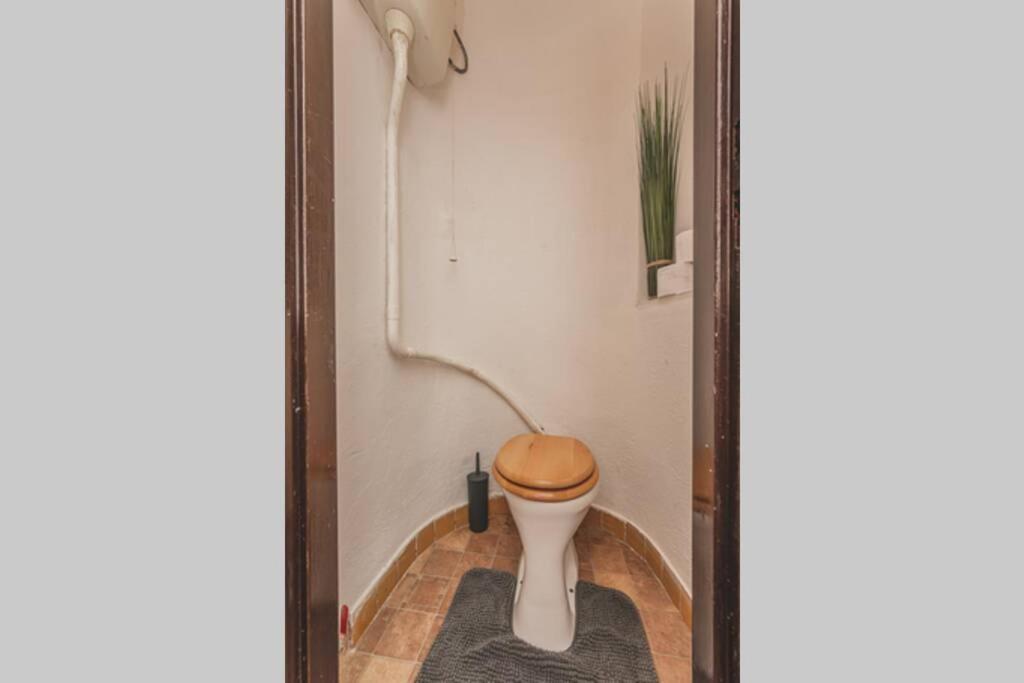 Carolina'S Central Apartment Hradec Kralove Luaran gambar